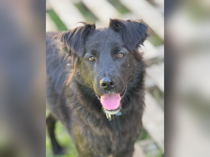 Donut - Wer nichts zu verlieren hat, kann nur gewinnen!