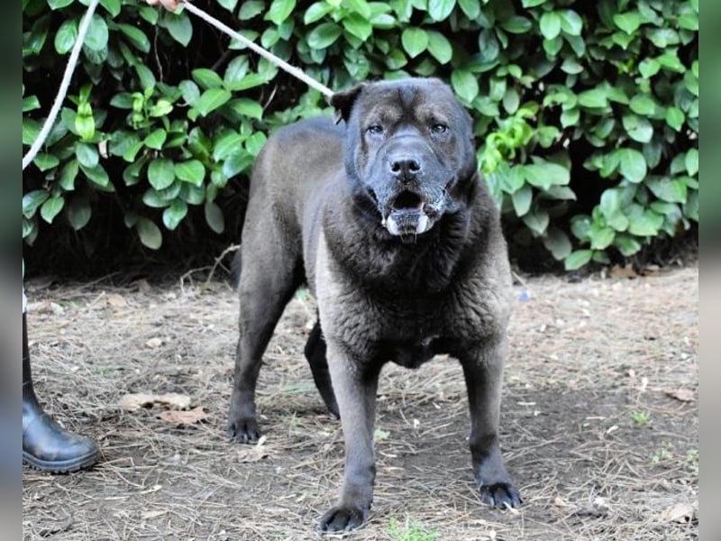Morgan - wird hoffentlich alles besser