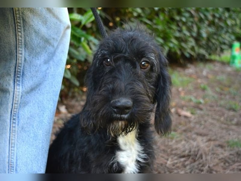 Elide - das doppelte Lottchen zu Edera