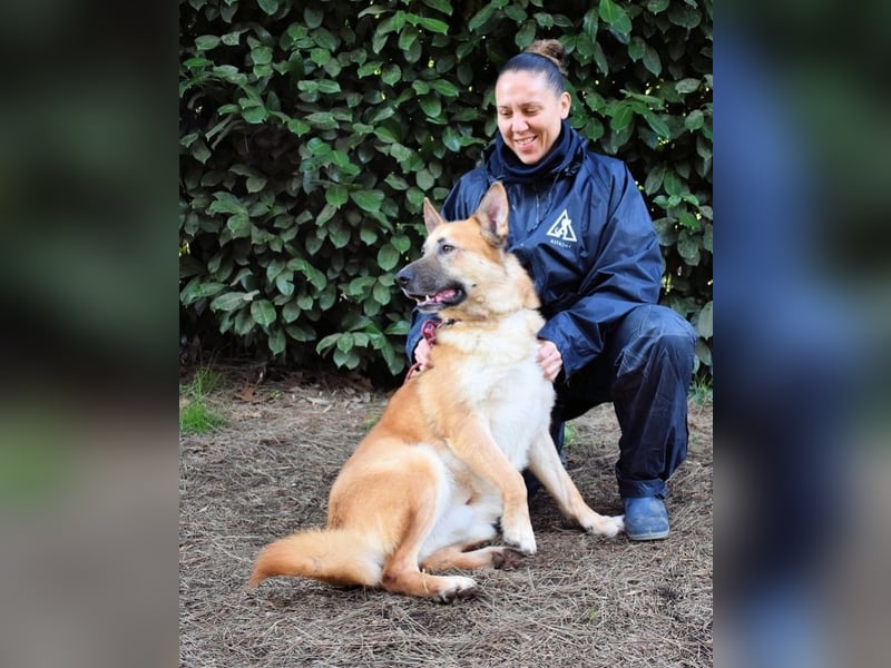 Oddy - Der "Seltsame" mit den Bernsteinaugen