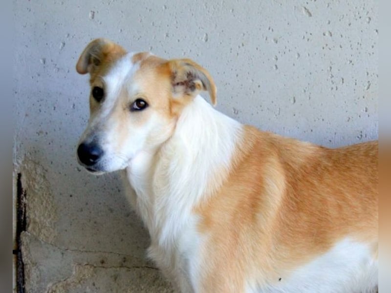 Liuba - sucht ihren Platz im Leben