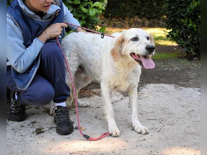 Kastore - Die Welt erkunden!