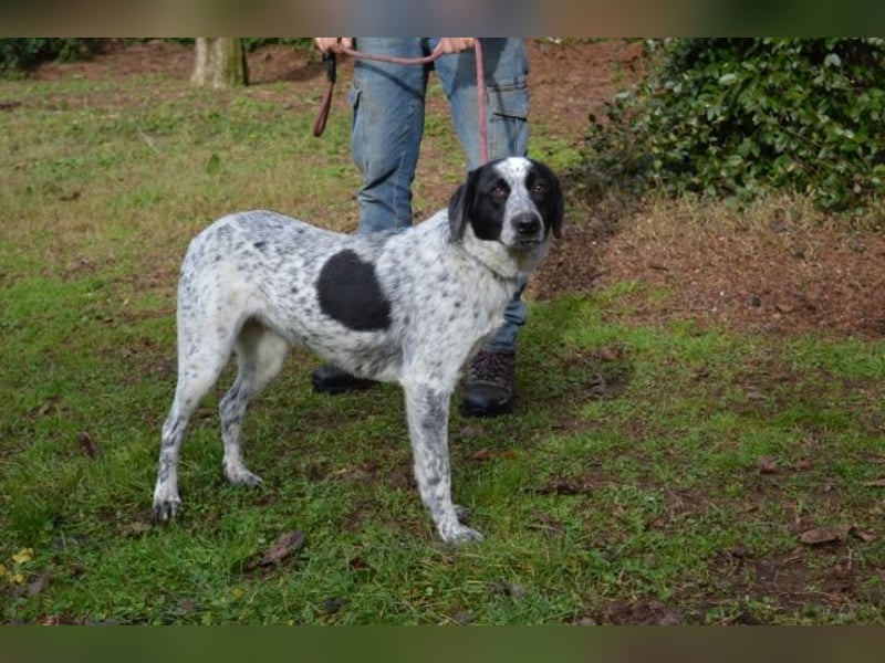 Flicka - möchte noch viel erleben