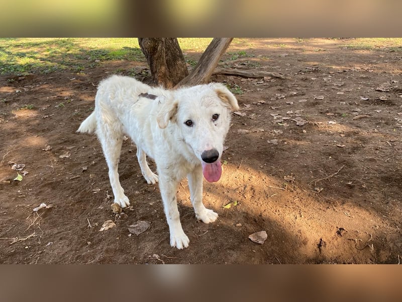 Tonia - Still, stark und voller Herz