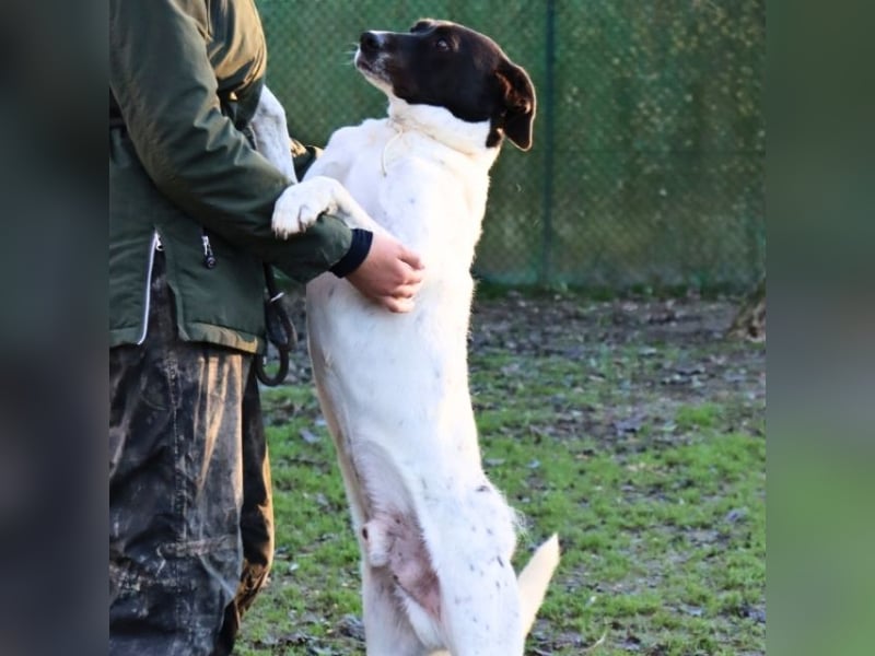 Phönix - Wege aus der Vergangenheit