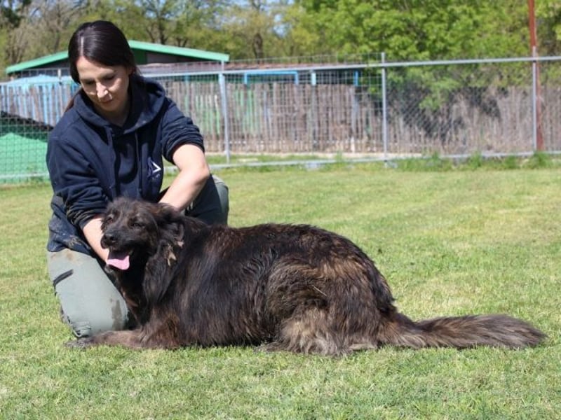 Nayra - unsere Süße