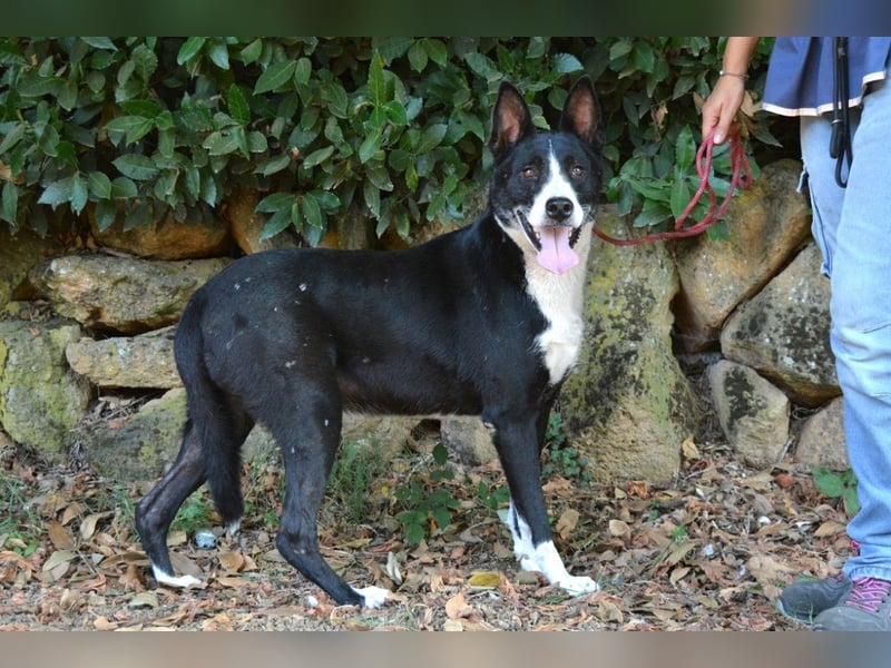 Edelmira - Das Leben in homöopathischen Dosen kennenlernen