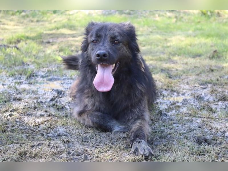 Nayra - unsere Süße