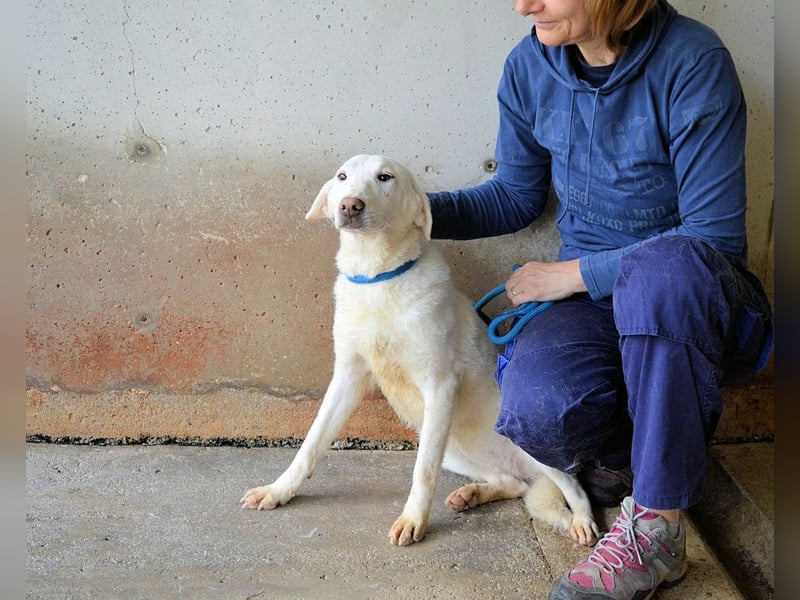 Arriel - aller guten Dinge sind drei