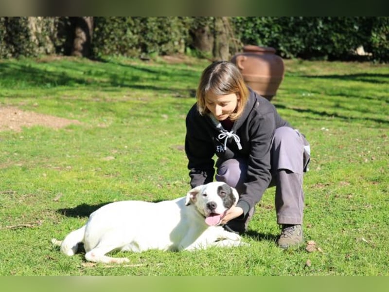 Olindina - Wie gut du bist, das zeigt sich an schlechten Tagen