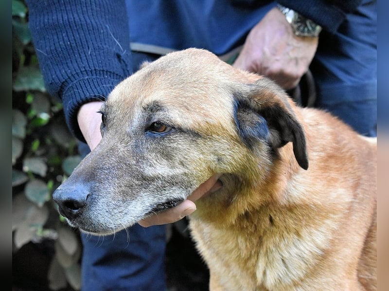 Nidal - Notfall - Was jetzt zählt