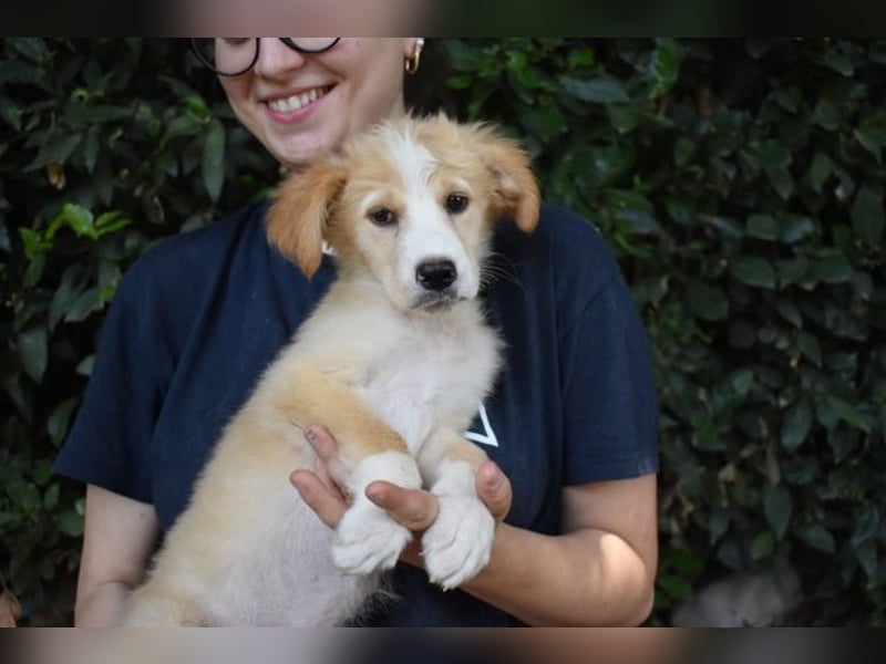 Marula - ...und Mama konnte es dir nicht zeigen