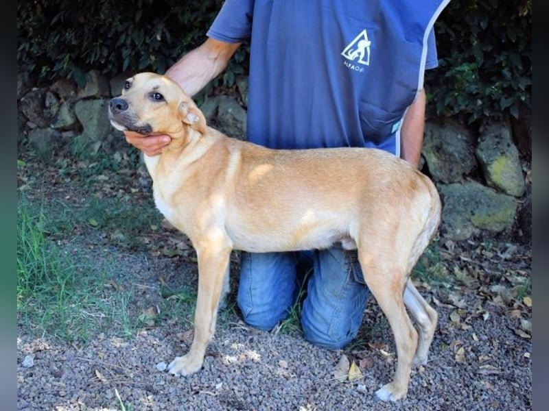 Ulbert - hat alles verloren