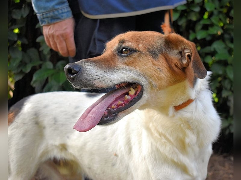 Kamyll - Der Platz neben dir