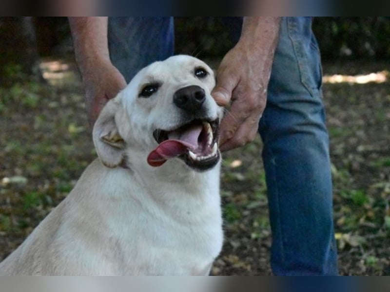 Hughie - macht ein Freundschaftsangebot