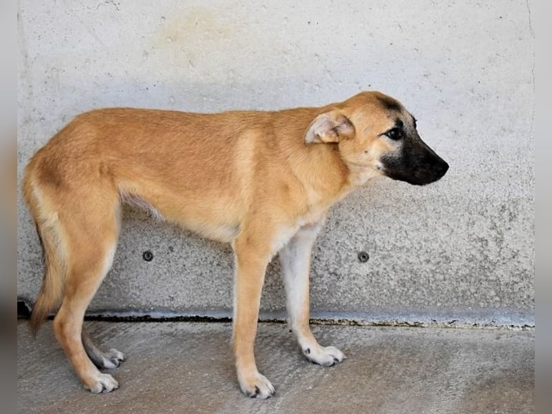 Olympia - "Und wenn sie nicht weg sind....