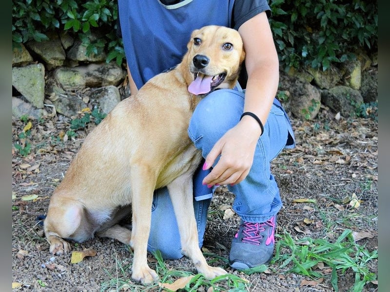 Lilyrose - als kleine Muschel ins Glück!