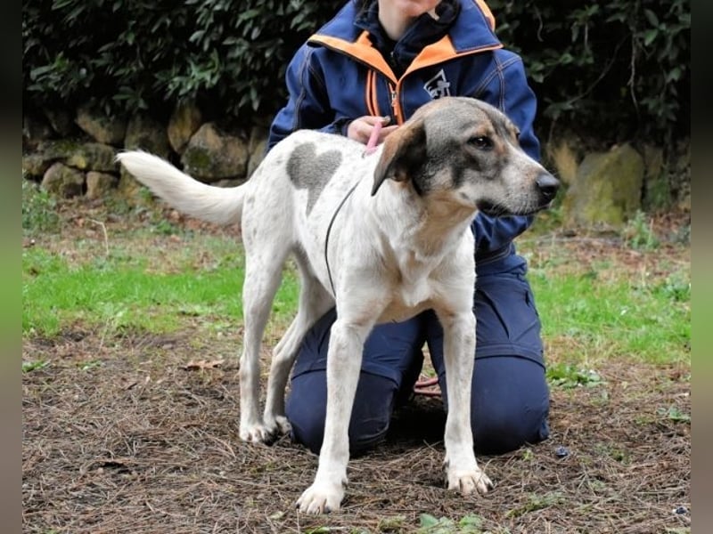 Helder - spricht für sich