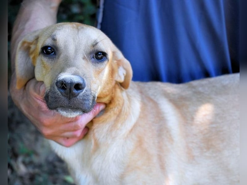 Ulbert - hat alles verloren