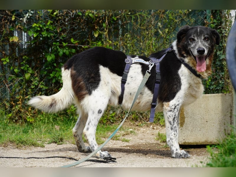 Cambiamento - lasst uns sein Leben verändern