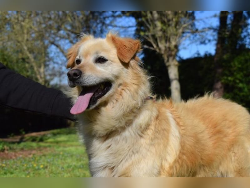 Alemix - Im zweiten Anlauf neuer Altersruhesitz gesucht