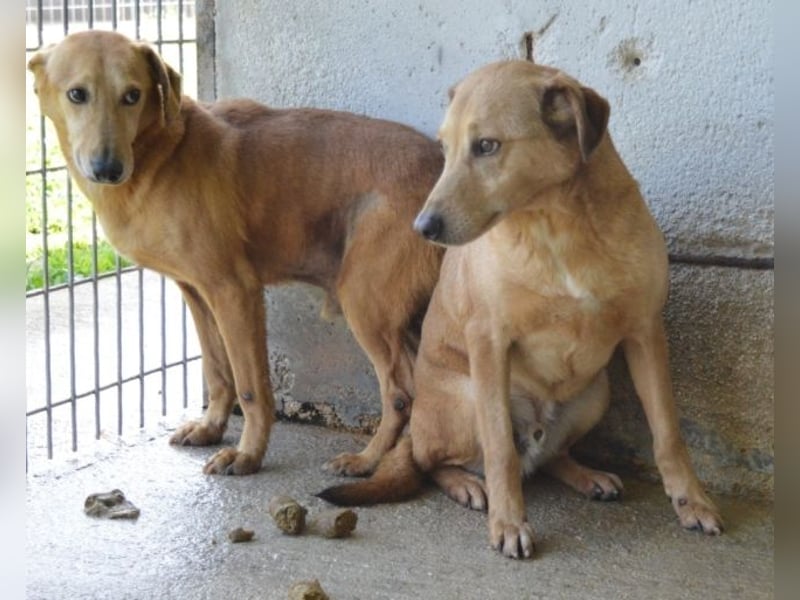 Benno - wenn du mutig bist, dann bin ich es auch!
