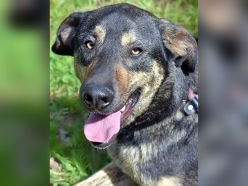 Montego - Sonne im Bauch und Brausekribbeln im Hirn