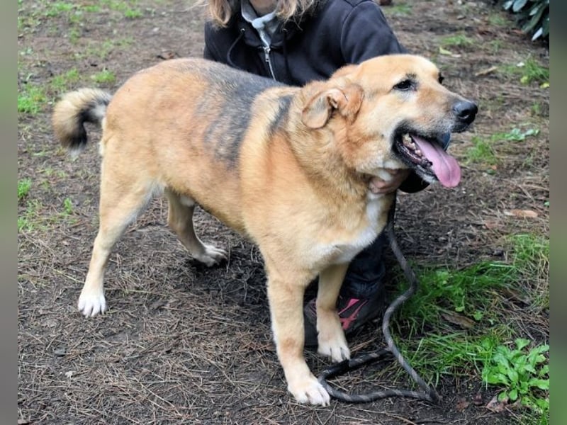 Kairo - möchte einfach nur genießen