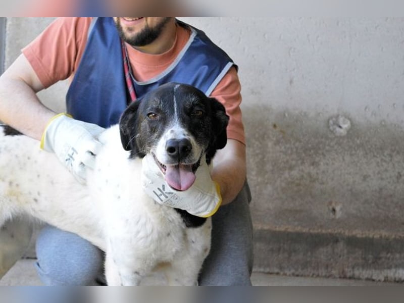 Lorianne - Diplomierte Zuhörerin sucht Sofa & Sonne
