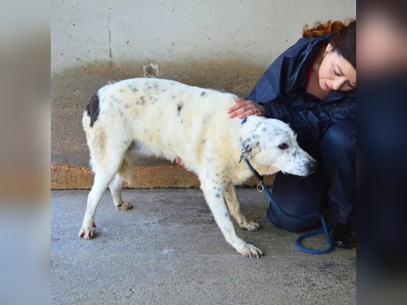 Arunny - aller guten Dinge sind drei