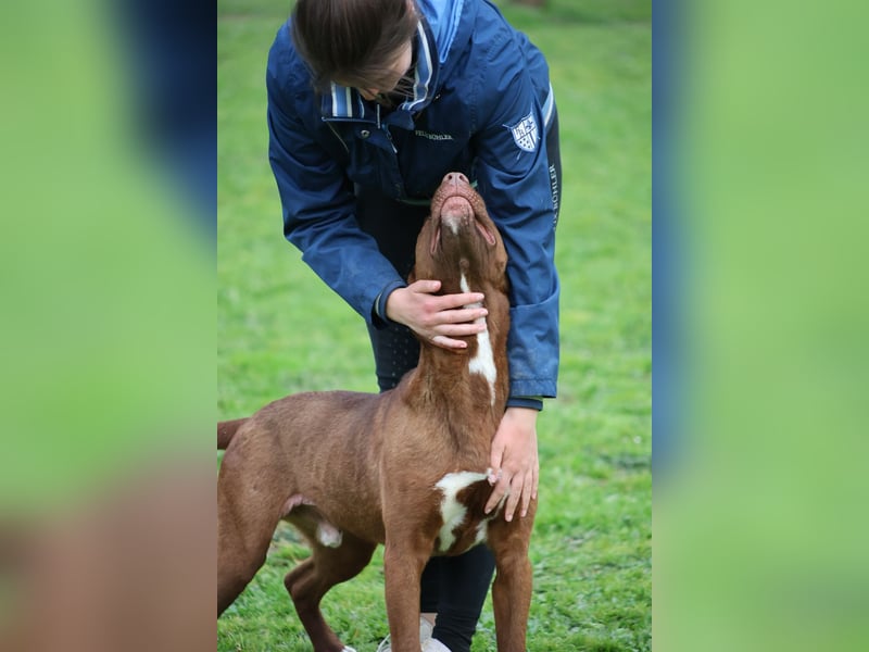 Birdy - Ich glaube, es wird Frühling