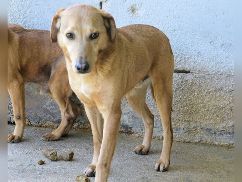 Benno - wenn du mutig bist, dann bin ich es auch!
