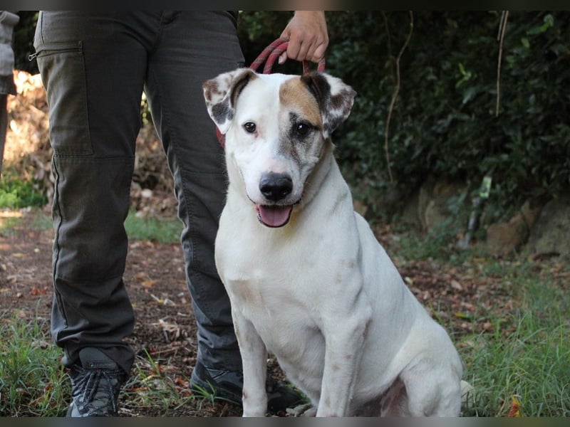 Argo - hungrig auf Leben und Er-Lebnisse