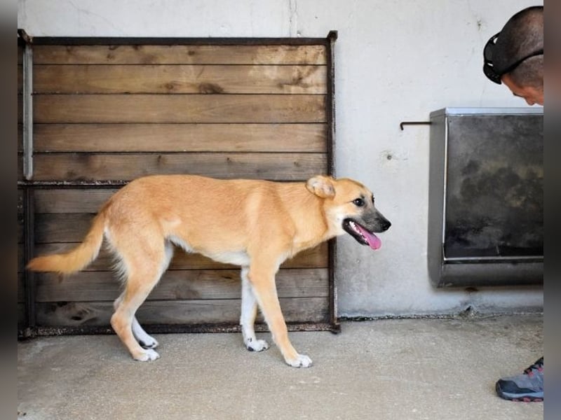 Osita - "Und wenn sie nicht weg sind.....