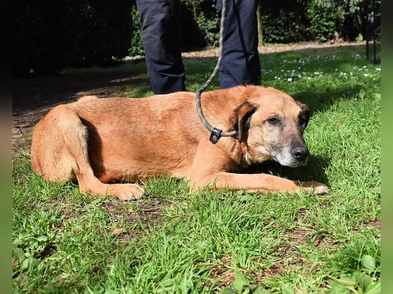 Nidal - Notfall - Was jetzt zählt