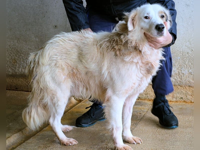 Bailoch - Zeig mir doch bitte...