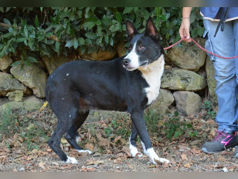 Edelmira - Das Leben in homöopathischen Dosen kennenlernen