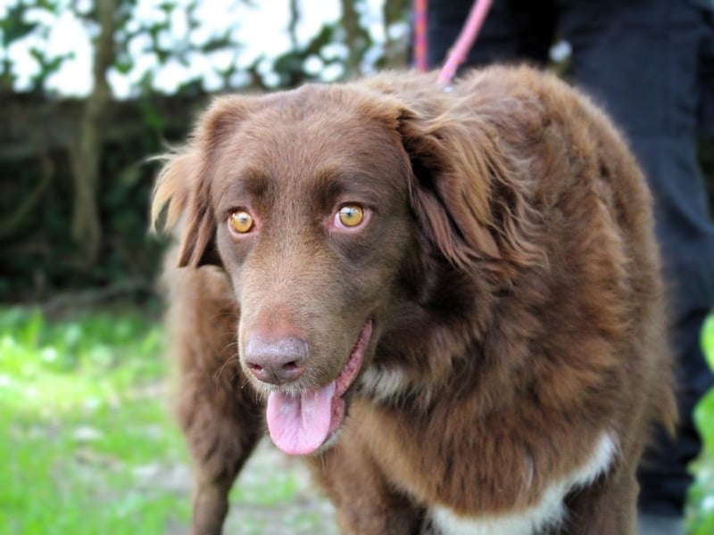 Beckey - Berufswunsch Prinzessin