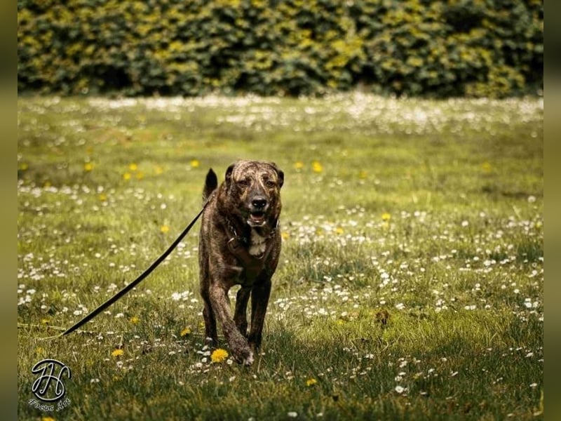 Ludwig - Nur Mädchen erlaubt
