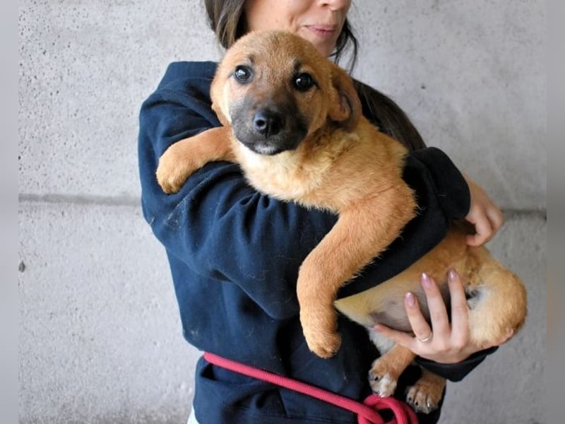 Mivelle - Es soll DEIN Leben werden