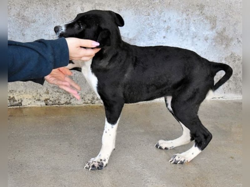 Mavette - Es soll DEIN Leben werden