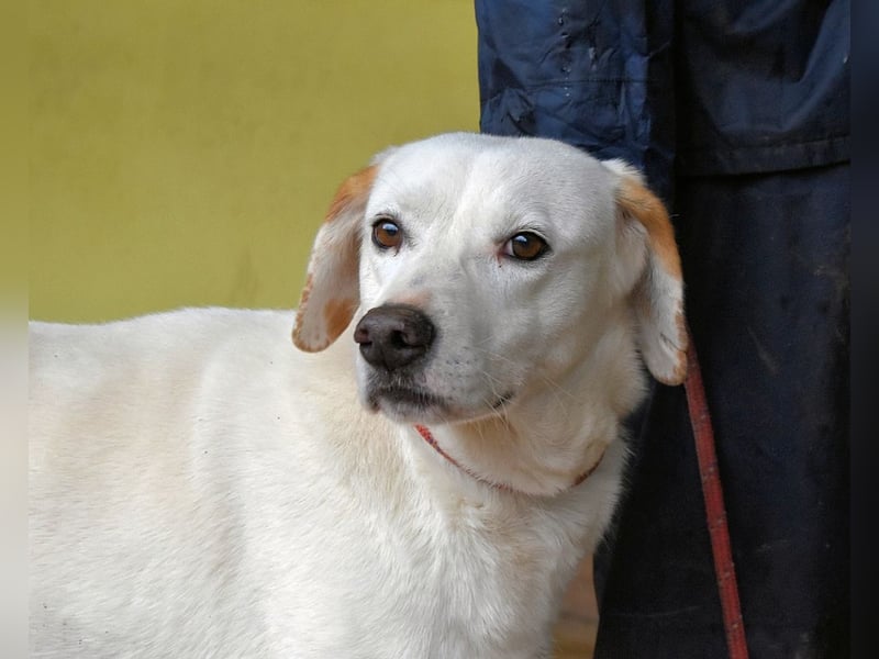 Ghemon - Notfall - Wie wenig kann ein Leben zählen?