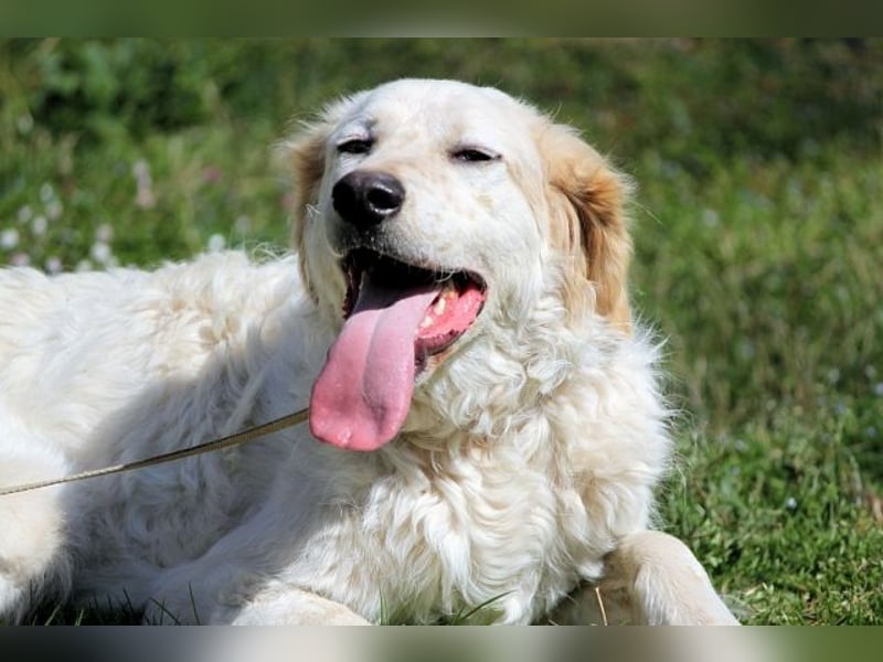 Kastore - Die Welt erkunden!