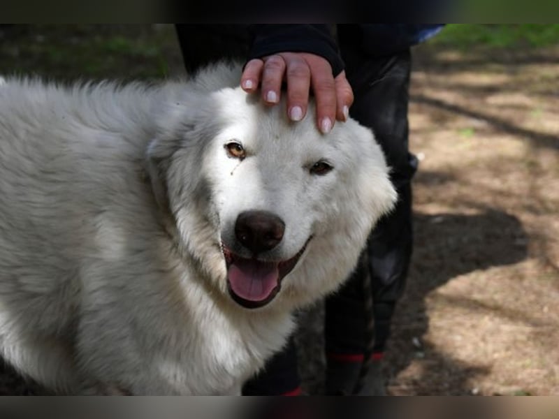 Florenz - bereit für das Abenteuer Leben