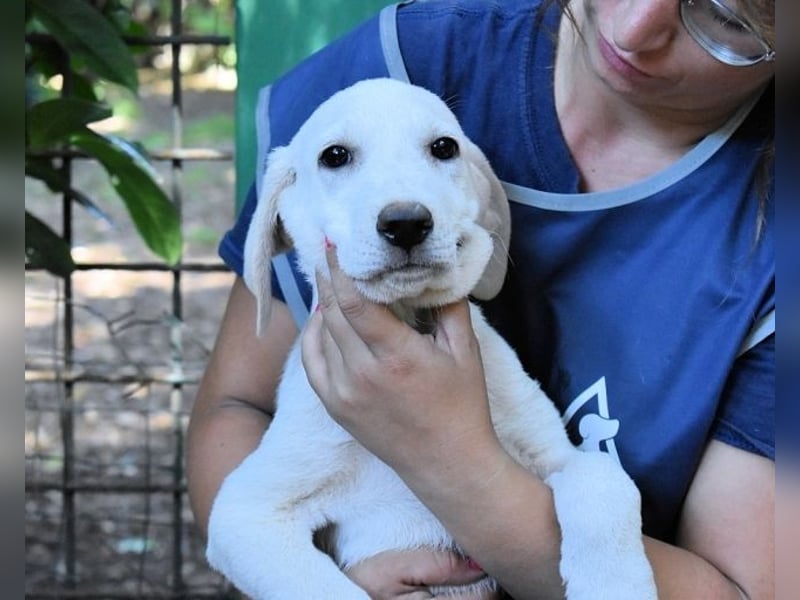 Shaydon - Ein riesiges Missverständnis!