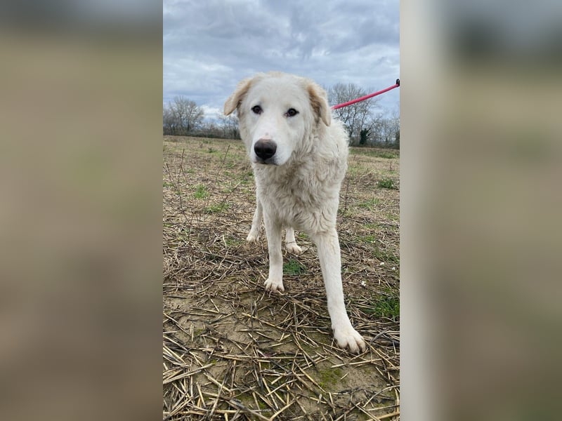 Tonia - Still, stark und voller Herz