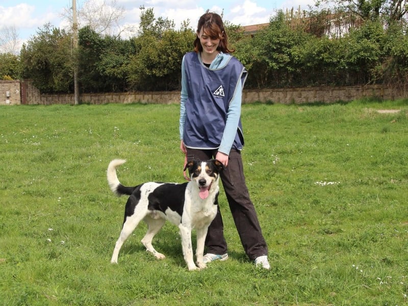 Lillo - Intelligentes Energiebündel sucht Sportsfreunde