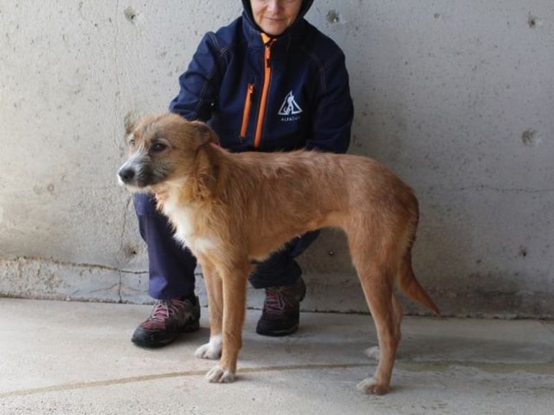 Renilde - eifrige Interviewpartnerin hat Pluspunkte gesammelt