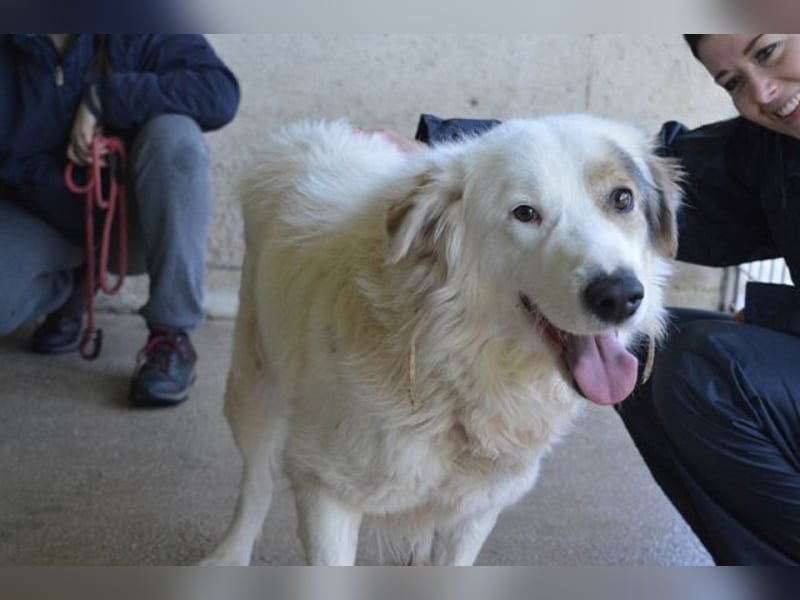 Bailoch - Zeig mir doch bitte...