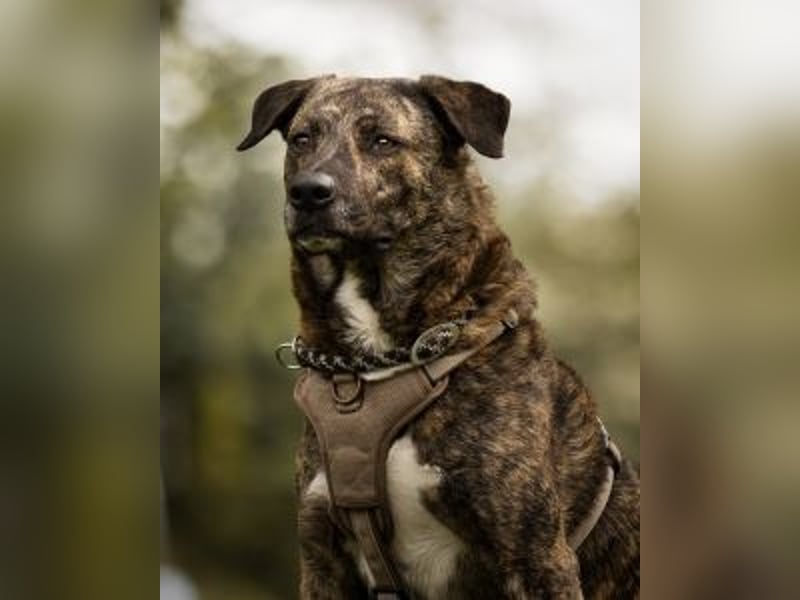 Ludwig - Nur Mädchen erlaubt